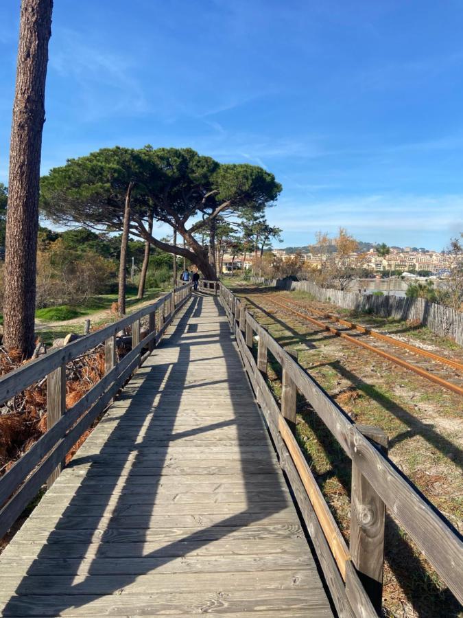 Duplex Calvi Direct Plage المظهر الخارجي الصورة